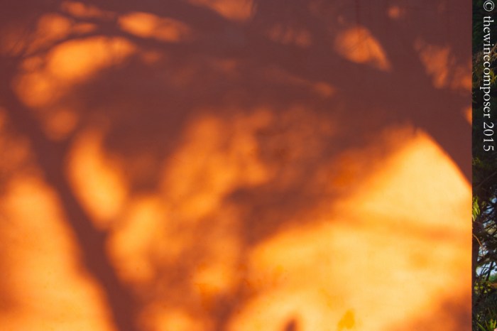 Domaine de Saint-Préfert, Isabel Ferrando, Vieilles Vignes de Clairette 2012