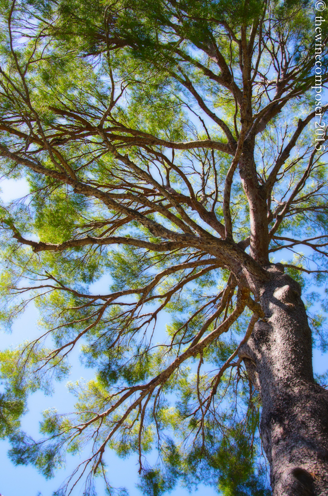 20150729_12-31-08-Modifier