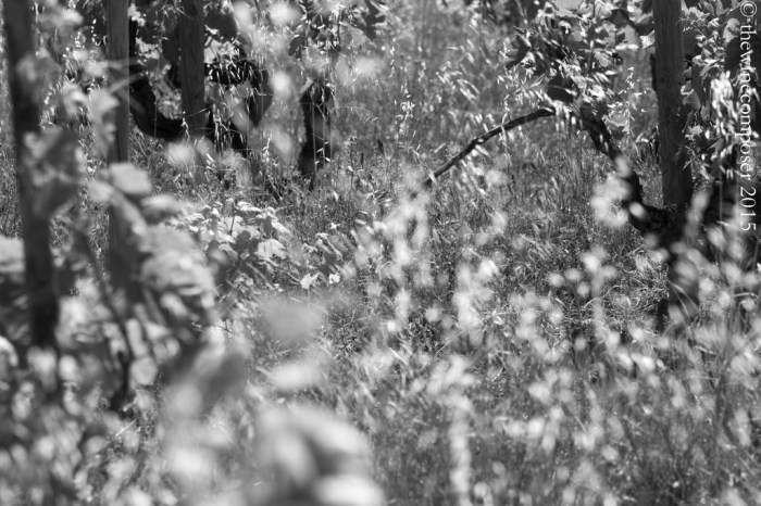 20150506_16-08-48-Modifier